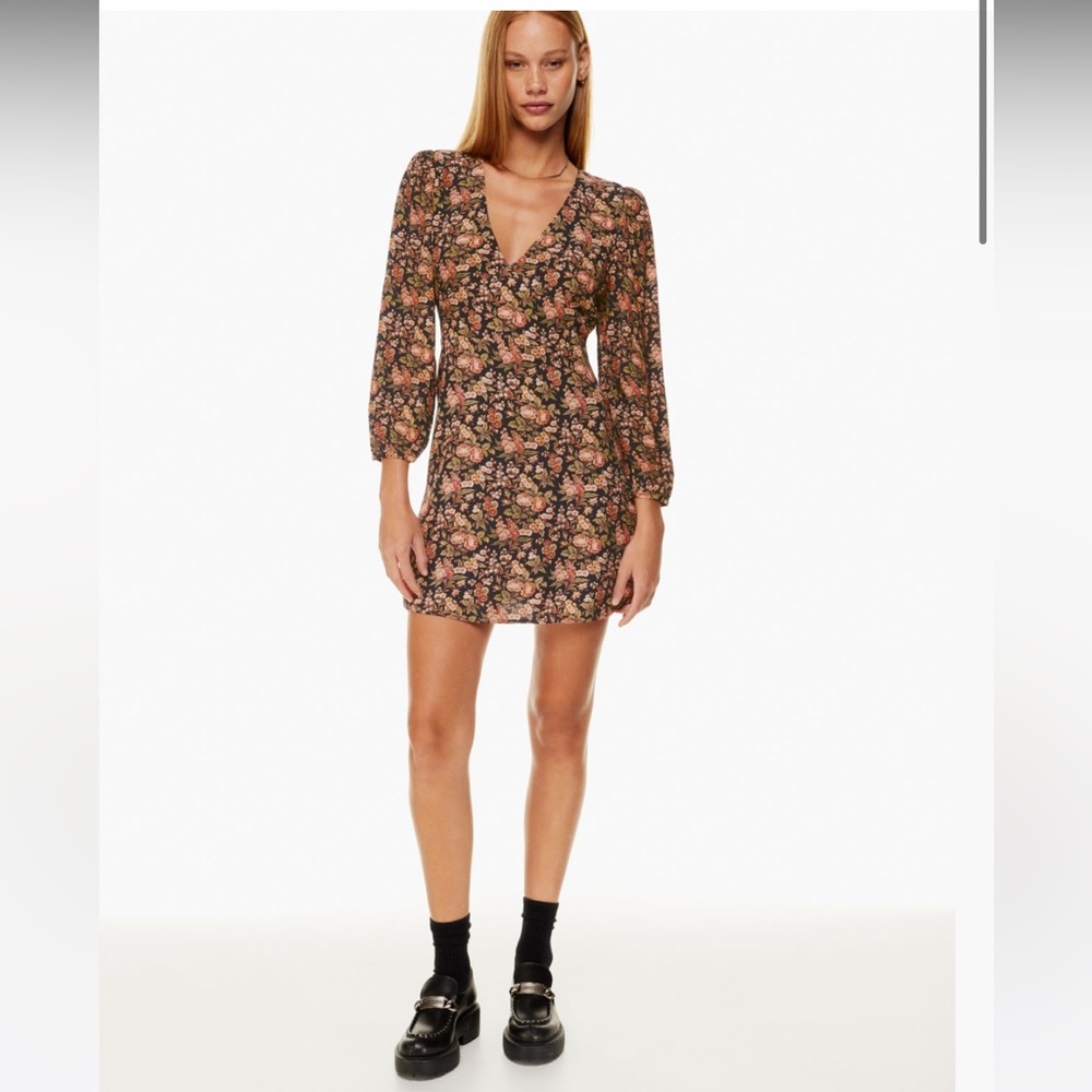 Aritzia Sunday Best Grayson dress